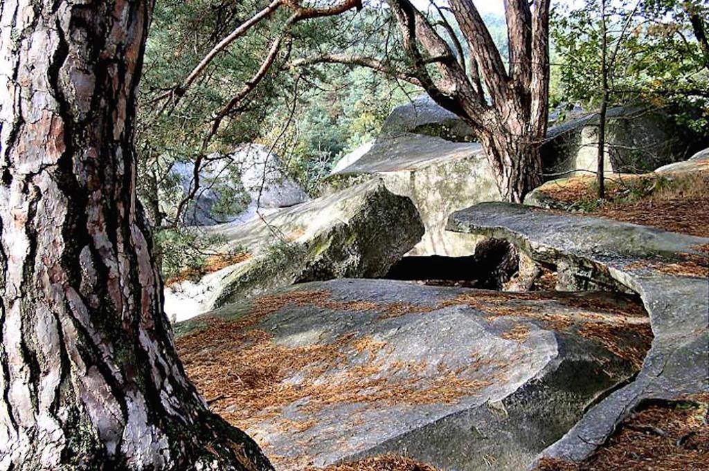 Fontainebleau Sweet Home Eksteriør bilde